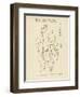 Acupuncture the Meridian of the Heart-Tchenn Tsiou Ta-tcheng-Framed Art Print