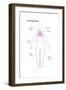 Acute Heart Failure-Spencer Sutton-Framed Art Print