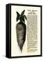 Ad for Lane's Improved Imperial Sugar Beet, B.K. Bliss and Sons, New York, 1872-null-Framed Stretched Canvas