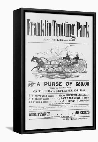 Ad for Trotter Races-null-Framed Stretched Canvas