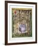 Ad Lantis-Tighe O'Donoghue-Framed Collectable Print