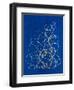 Adagio II-Vanna Lam-Framed Art Print