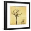 Adajio 39-null-Framed Art Print