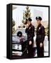 Adam-12-null-Framed Stretched Canvas