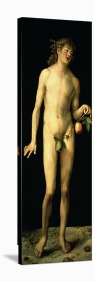 Adam, 1507-Albrecht Durer-Stretched Canvas