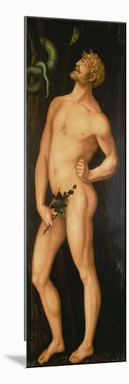Adam, 1525-Hans Baldung Grien-Mounted Premium Giclee Print
