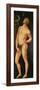 Adam, 1525-Hans Baldung Grien-Framed Premium Giclee Print