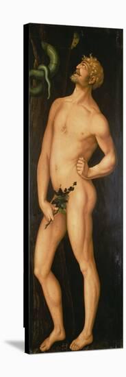 Adam, 1525-Hans Baldung Grien-Stretched Canvas