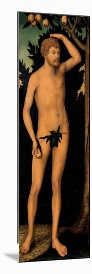 Adam, after 1537-Lucas Cranach the Elder-Mounted Premium Giclee Print