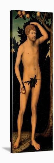 Adam, after 1537-Lucas Cranach the Elder-Stretched Canvas