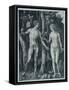 Adam and Eve, 1504 (Engraving)-Albrecht Dürer or Duerer-Framed Stretched Canvas