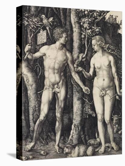 Adam and Eve, 1504-Albrecht Dürer-Stretched Canvas