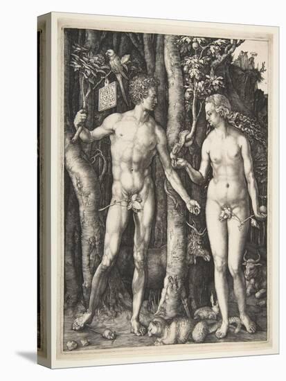 Adam and Eve, 1504-Albrecht Dürer or Duerer-Stretched Canvas