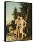 Adam and Eve, 1525-Lucas Cranach the Elder-Framed Stretched Canvas