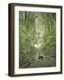 Adam and Eve and Snake by Dore-Science Source-Framed Giclee Print