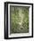 Adam and Eve and Snake by Dore-Science Source-Framed Giclee Print