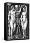 Adam and Eve, Engraved by Hans Sebald Beham, 1543-Barthel Beham-Framed Stretched Canvas