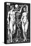 Adam and Eve, Engraved by Hans Sebald Beham, 1543-Barthel Beham-Framed Stretched Canvas