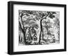 Adam and Eve Hiding from the Lord, Plate 3 of 'The Story of the First Men', Engraved by Jan…-Maarten de Vos-Framed Giclee Print