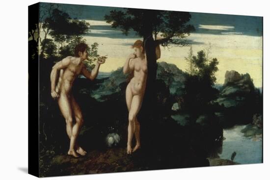 Adam and Eve in the Garden of Eden-Jan Swart van Groningen-Stretched Canvas