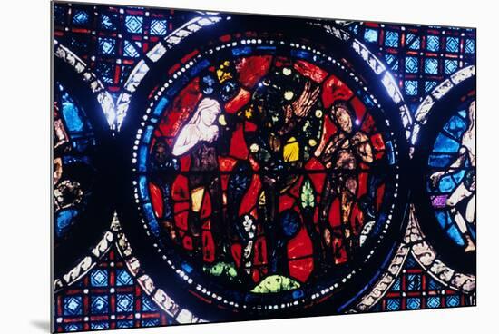 Adam and Eve (The Fall of Ma), Stained Glass, Chartres Cathedral, France, 1194-1260-null-Mounted Photographic Print