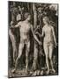 Adam and Eve-Albrecht Dürer-Mounted Giclee Print