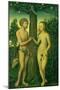 Adam and Eve-Lucas Cranach the Elder-Mounted Giclee Print