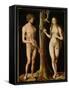 Adam and Eve-Lucas Cranach the Elder-Framed Stretched Canvas