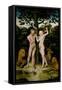 Adam and Eve-Lucas, The Elder Cranach-Framed Stretched Canvas