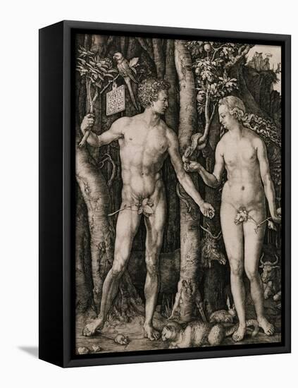 Adam and Eve-Albrecht Dürer-Framed Stretched Canvas