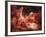 Adam and God Touching in Nebula-Mike Agliolo-Framed Photographic Print