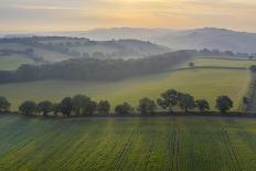 Aerial view of rolling countryside at dawn on a hazy summer day, Devon, England-Adam Burton-Photographic Print