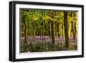 Black Frame