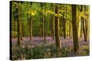 Stretched Canvas