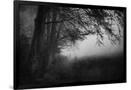 Gramercy Black