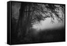 Canvas Black
