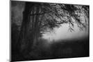 Wood Mount