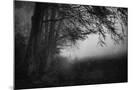 Wood Mount
