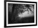 Gramercy Black