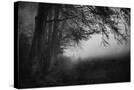 Stretched Canvas