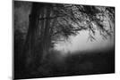 Wood Mount