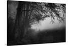 Stretched Canvas