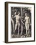 Adam Et Eve - Gravure Sur Cuivre D'albrecht Durer (1471-1528), 1504 - Adam and Eve - Copper Engravi-Albrecht Dürer or Duerer-Framed Giclee Print