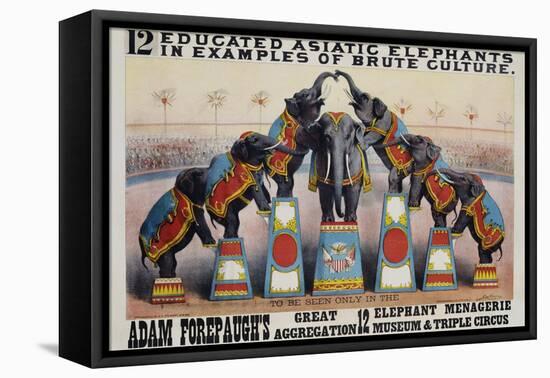 Adam Forepaugh's Great Aggregation Poster-Matt Morgan-Framed Stretched Canvas