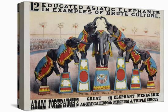 Adam Forepaugh's Great Aggregation Poster-Matt Morgan-Stretched Canvas