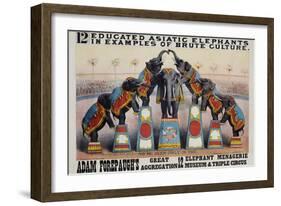 Adam Forepaugh's Great Aggregation Poster-Matt Morgan-Framed Giclee Print