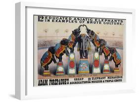 Adam Forepaugh's Great Aggregation Poster-Matt Morgan-Framed Giclee Print