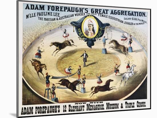 Adam Forepaugh's Great Aggregation Poster-null-Mounted Giclee Print