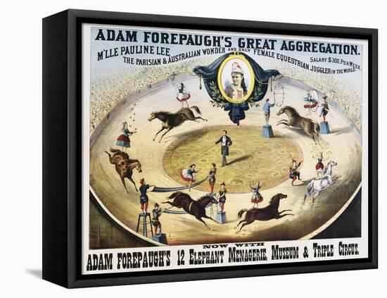 Adam Forepaugh's Great Aggregation Poster-null-Framed Stretched Canvas