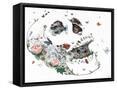 Framed Canvas